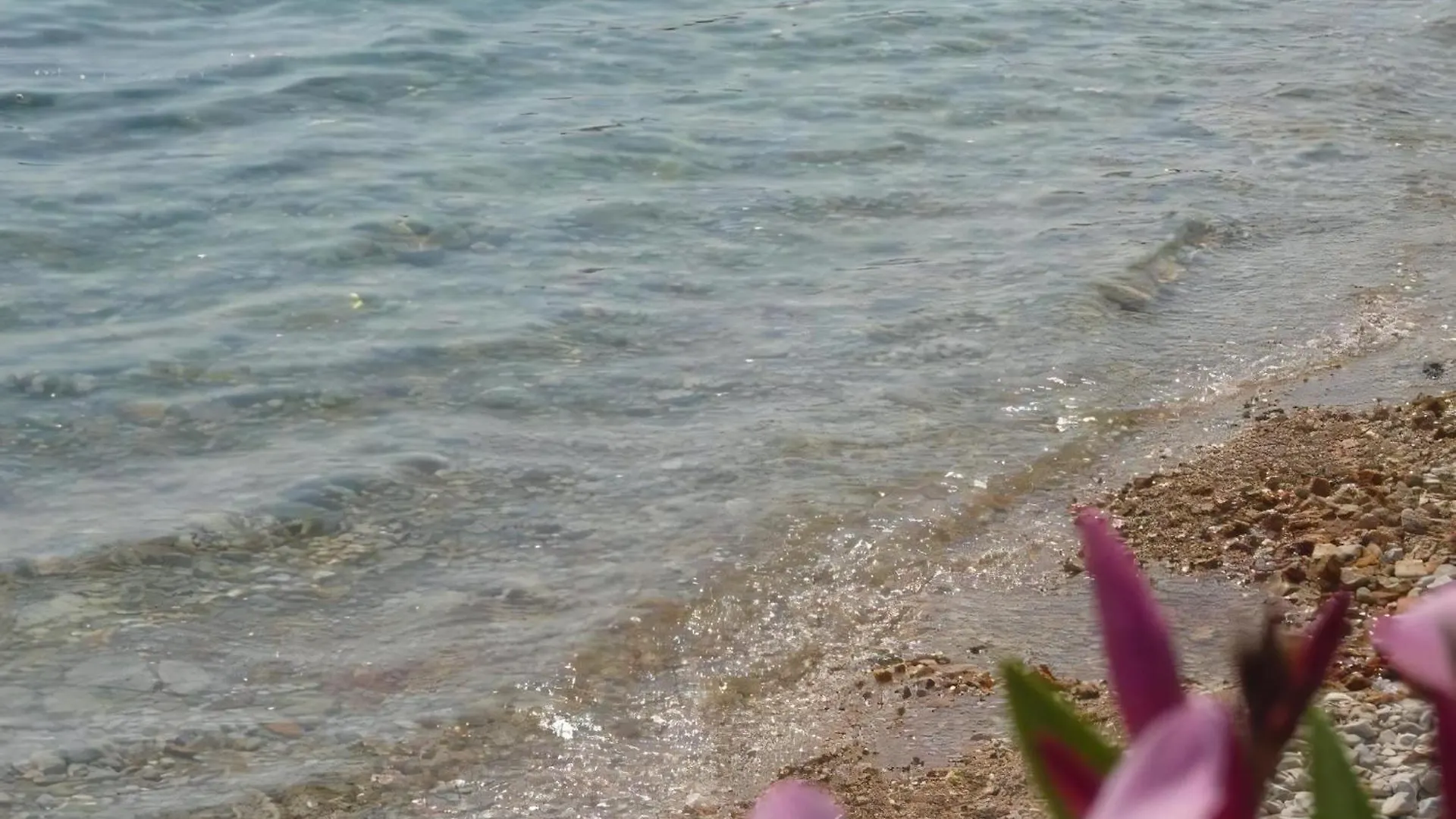 Apartment Gemuetliche Ferienwohnung Fuer Drei Personen Mandre Croatia